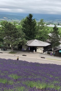AF03C38F-F199-4CF7-9E50-48CA99B0F9C7.jpeg